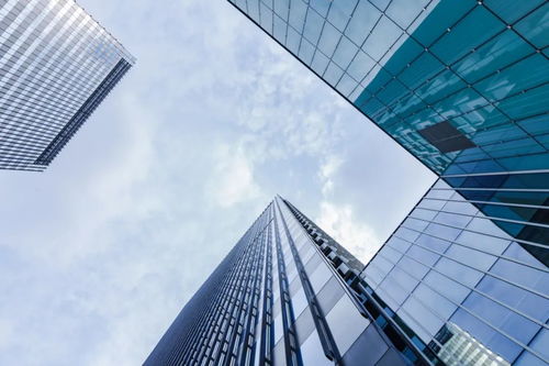 百億補貼為拼多多帶來了什么？——一場信任與增長的博弈